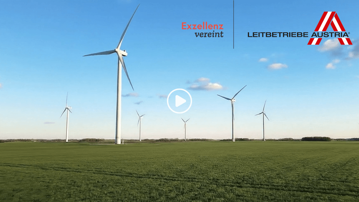 Leading Companies Video